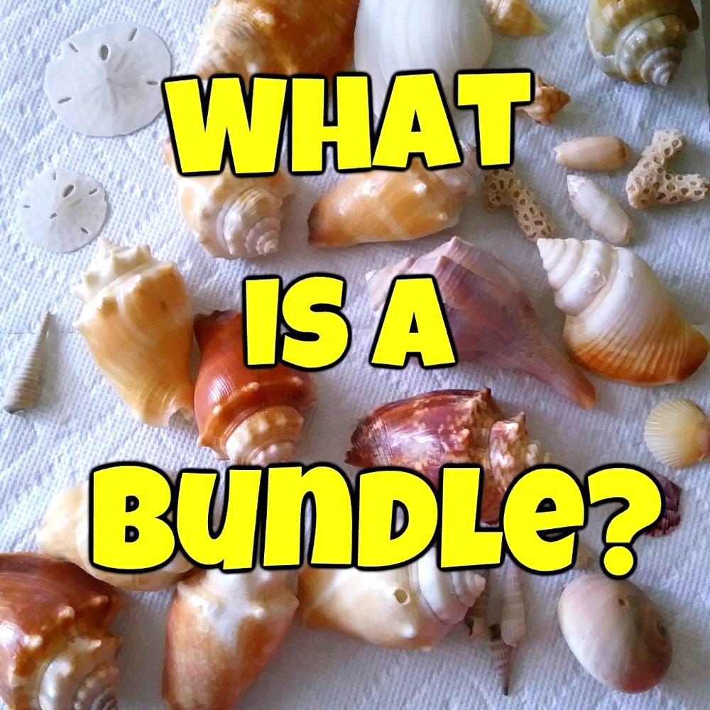 What is a bundle